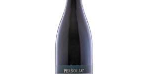 Cabernet franc – arhiv – Vina Peršolja